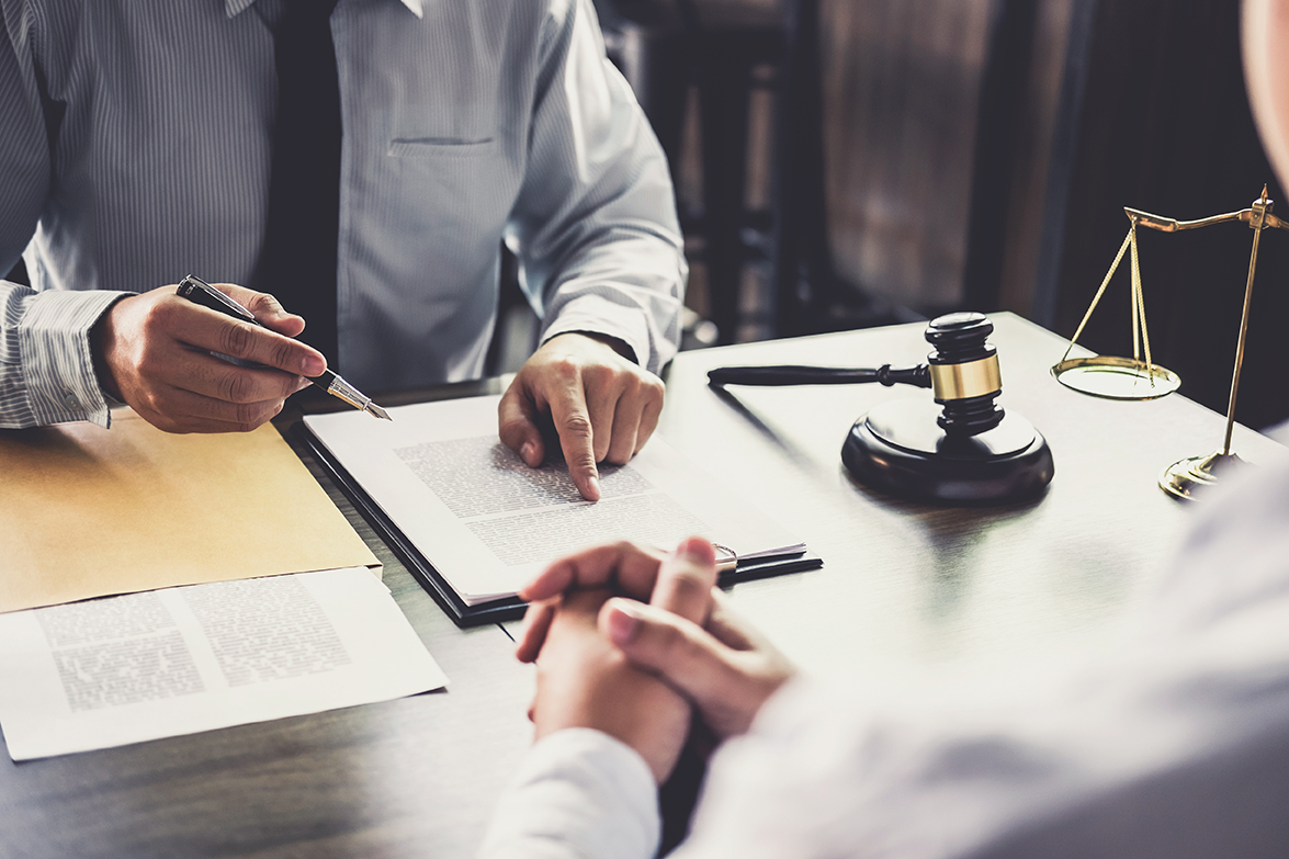 Franchise industry, franchisors, franchisees