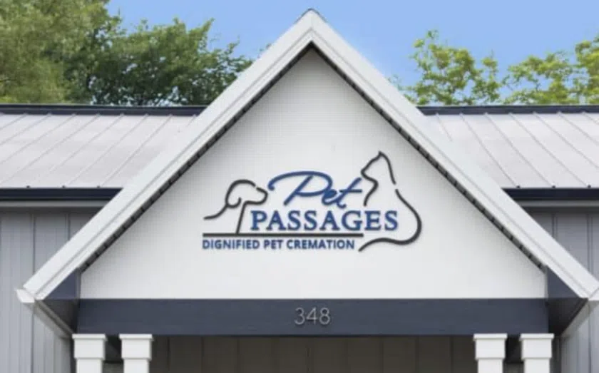 11 ways to own a pet franchise 