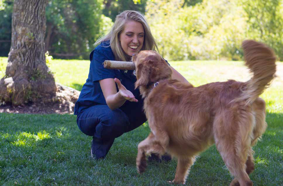 Dog Training Elite franchise - semi absentee