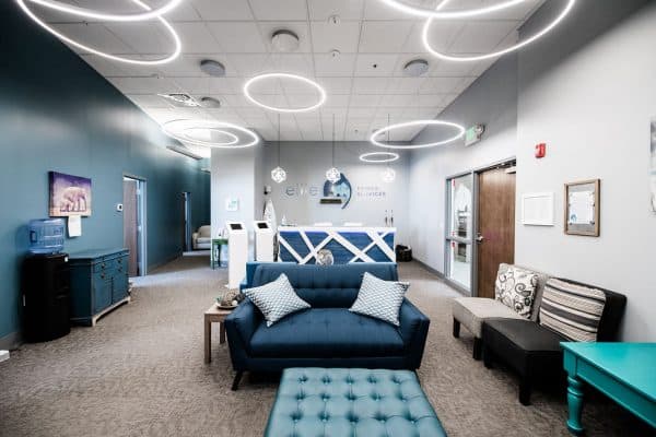 Ellie Mental Health and Princeton Equity