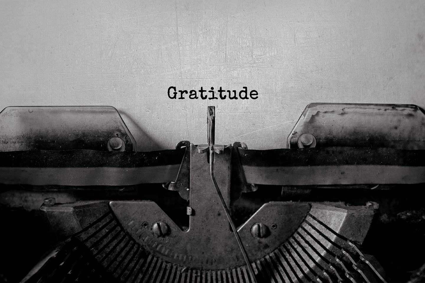 The importance of Gratitude in business and life