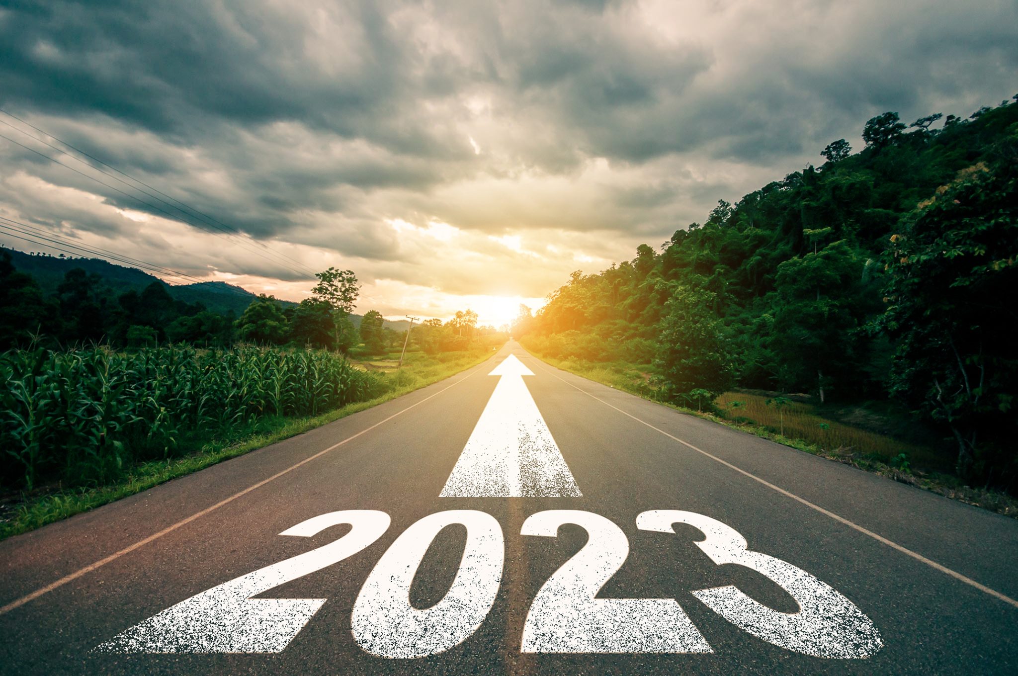 Franchising in 2023