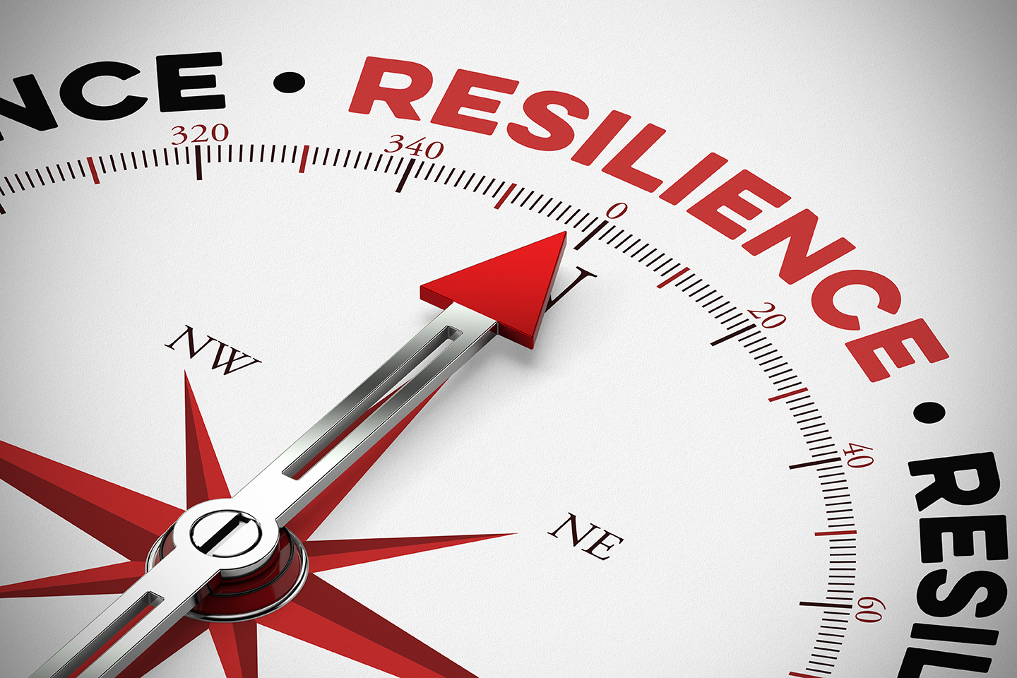 Resilience in business