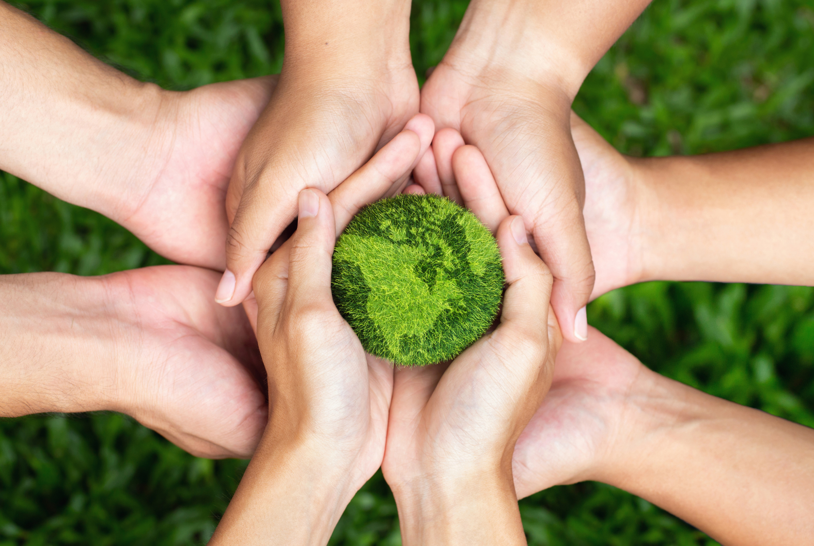 Earth Day 2023: Fast-Food Franchisors With Sustainability Goals and Vegetarian Options