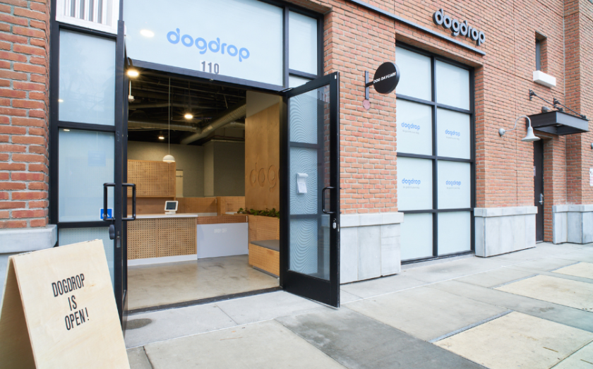 Dogdrop Day Care To Expand Further in 2024