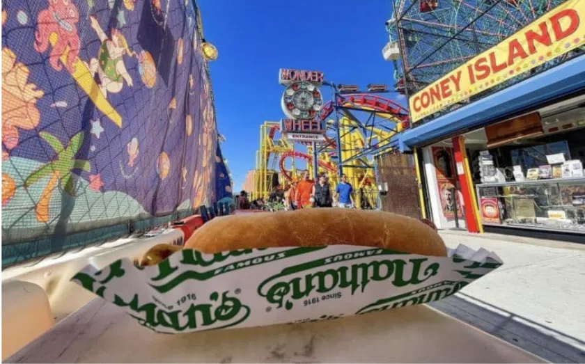 hot dog franchise