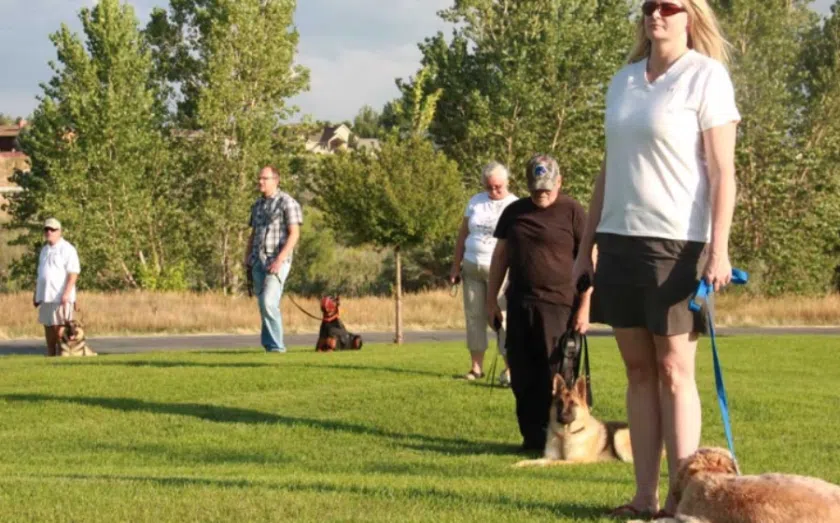 11 ways to own a pet franchise 