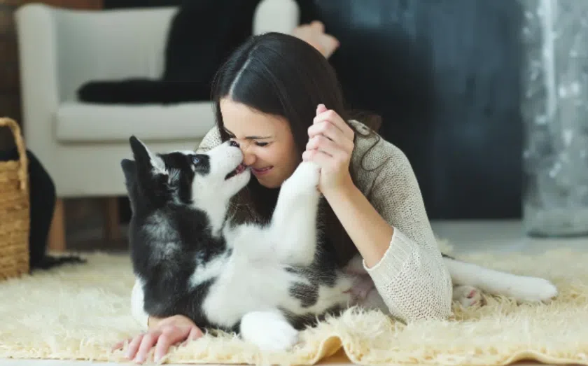 11 ways to own a pet franchise 