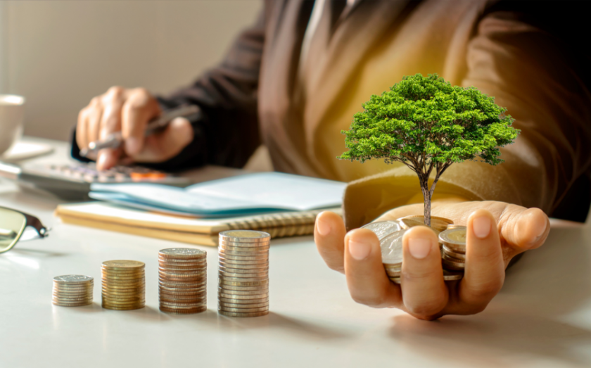 How Much Equity Do I Need to Invest in My New Franchise?