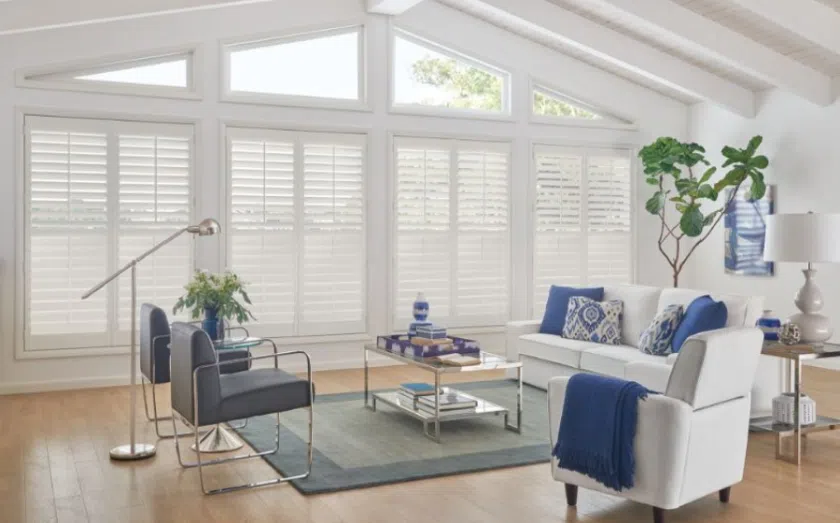 Bumble Bee Blinds franchise business
