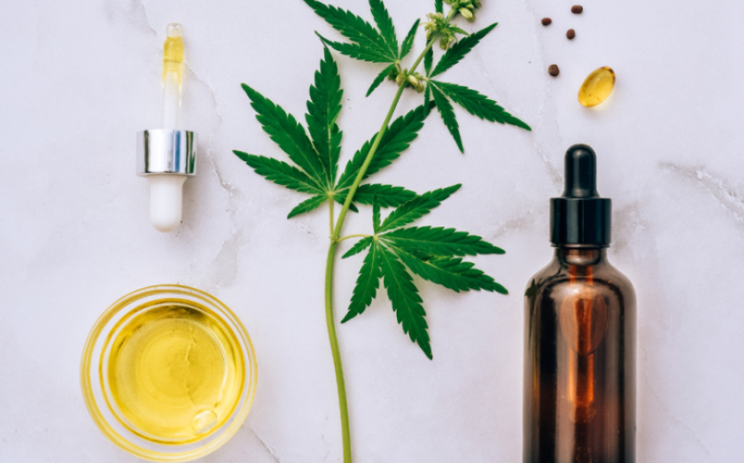 Franchise news - Everything You Need to Know About CBD Franchises