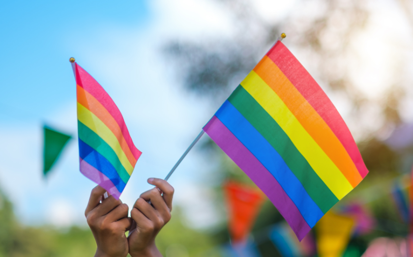 Franchise news - Franchising Pride Council Highlights Importance of Allyship