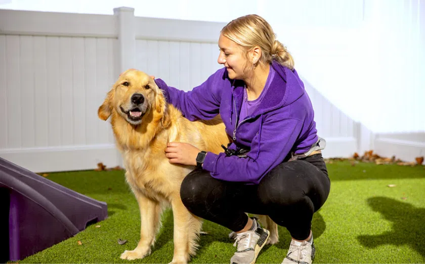 Top pet franchise opportunities