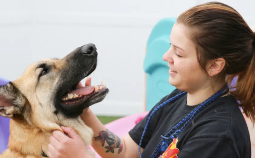 Top pet franchise opportunities