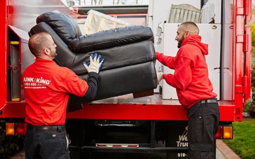 top green franchises - junk king
