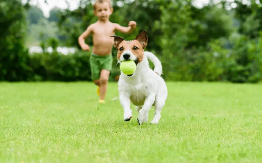 Heroes Lawn Care franchise business