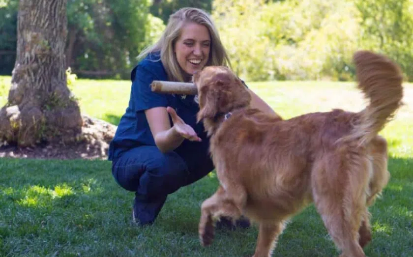 The ultimate guide to pet franchising
