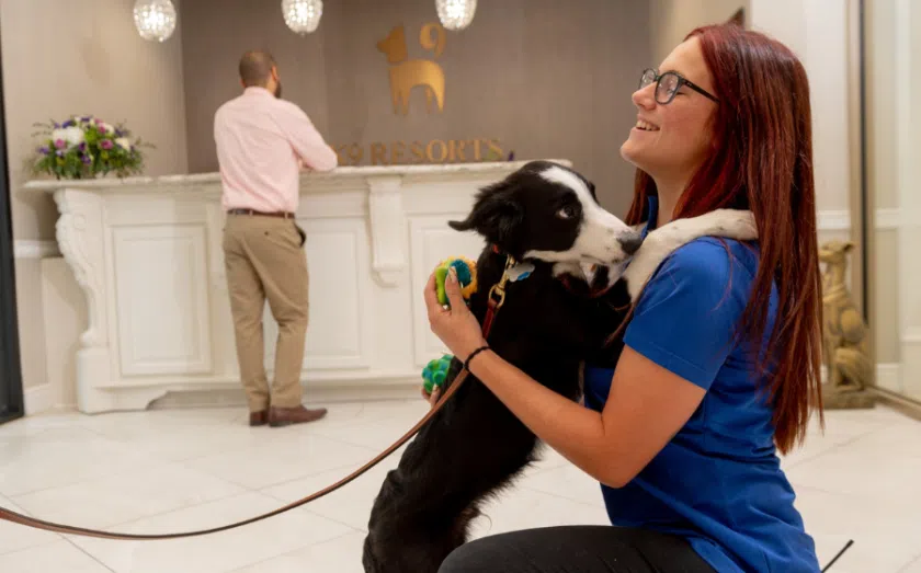 The ultimate guide to pet franchising