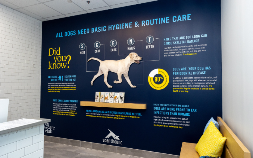 Scenthound franchise opportunity