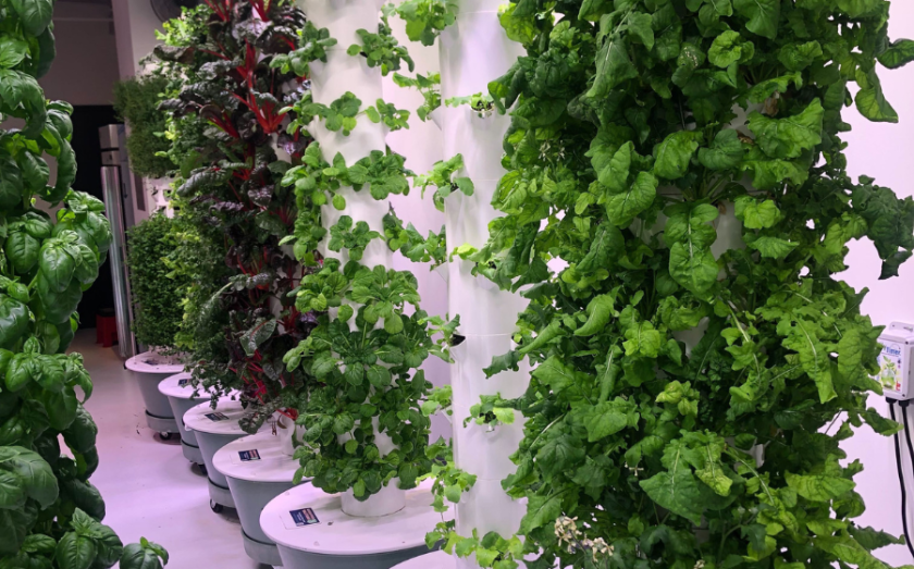 Green Food Solutions Franchise
