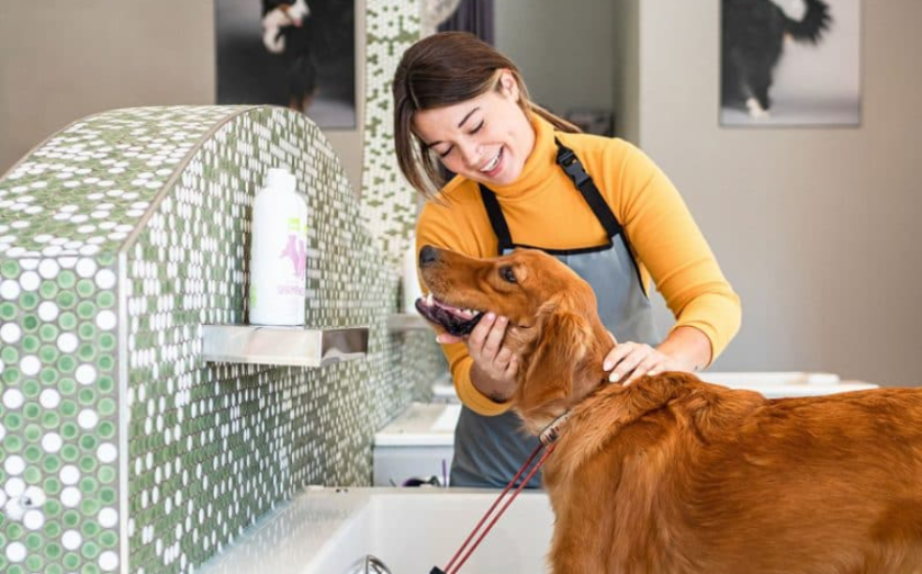 The ultimate guide to pet franchising