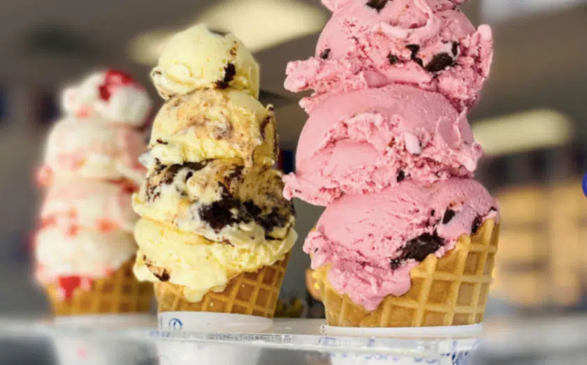 Restaurant Deals for Black Friday and Cyber Monday 2024