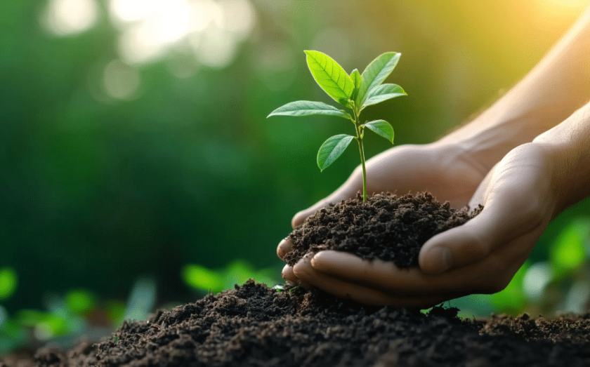 Earth Day 2025: Best Restaurant Deals and Discounts