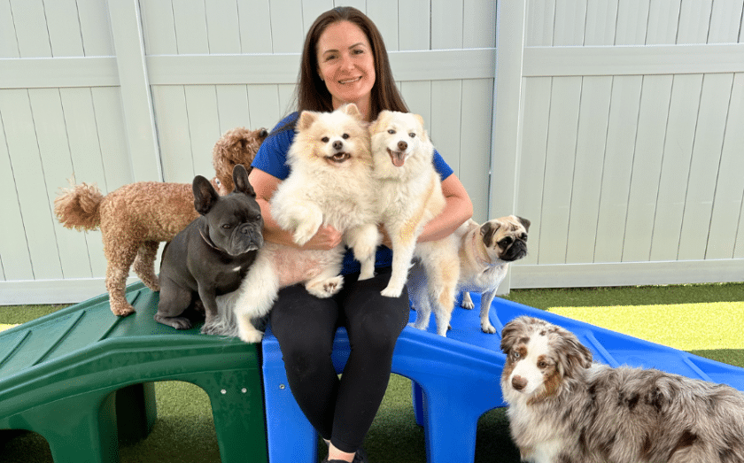 K9 Resorts franchise