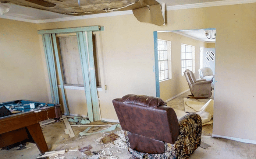 See how Tiger Adjusters Disrupts the Insurance Claims Industry