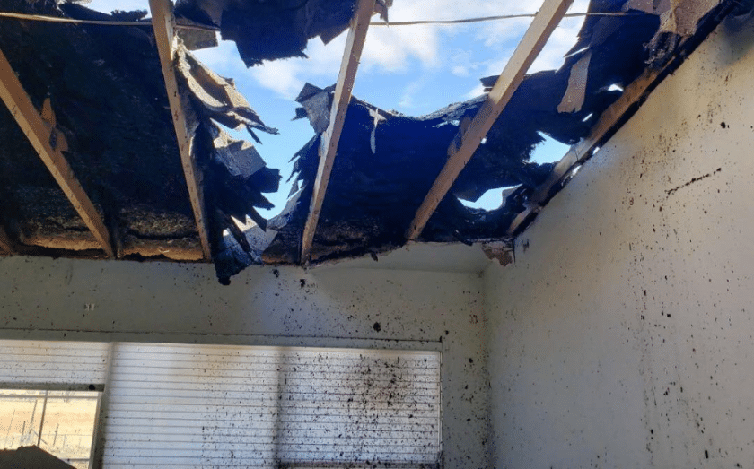 See how Tiger Adjusters Disrupts the Insurance Claims Industry