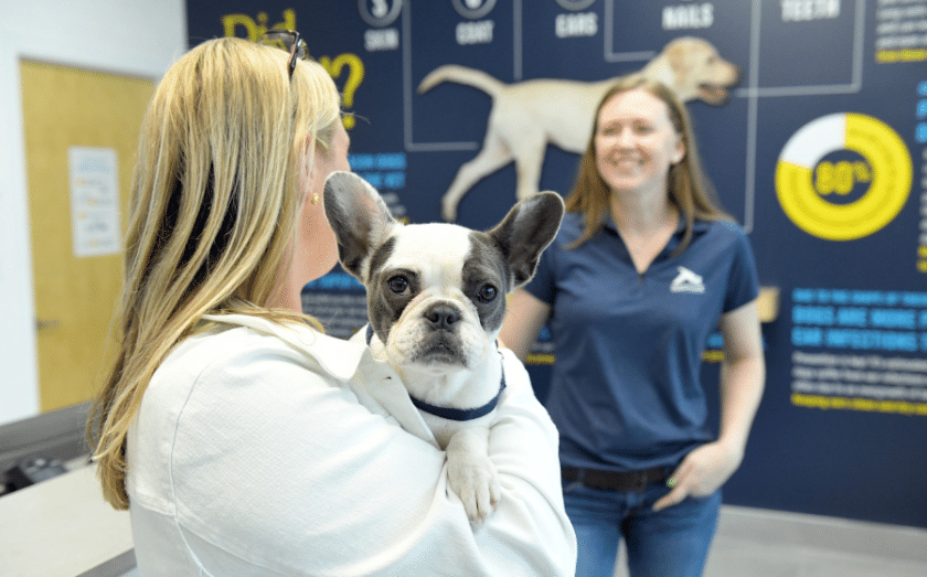 Scenthound franchise opportunity