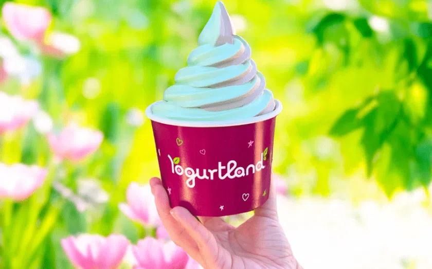 Memorial Day 2025: Best Restaurant Deals and Discounts - Yogurtland