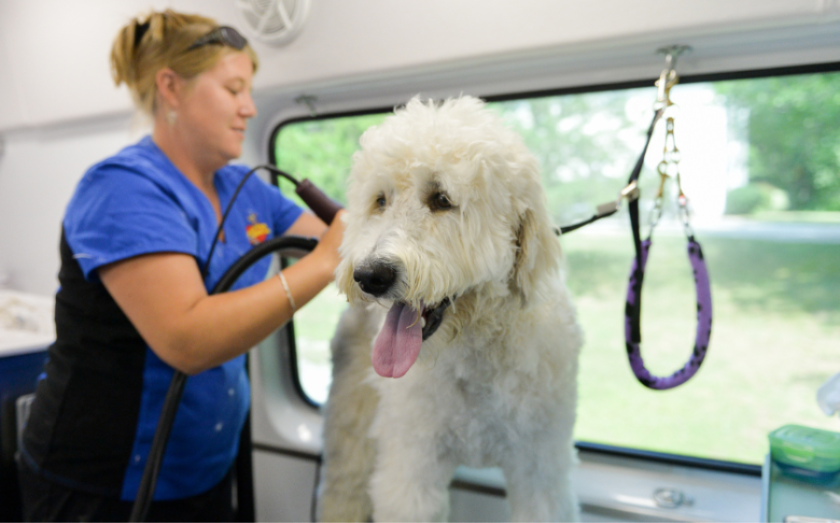 Aussie Pet Mobile franchise OPTION 1
