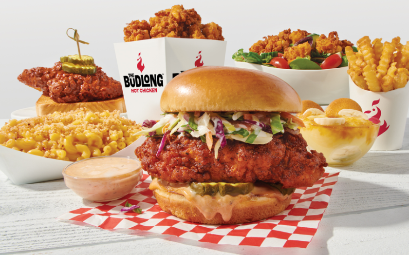 Top Hot Chicken Franchise Opportunities, The Budlong Southern Chicken