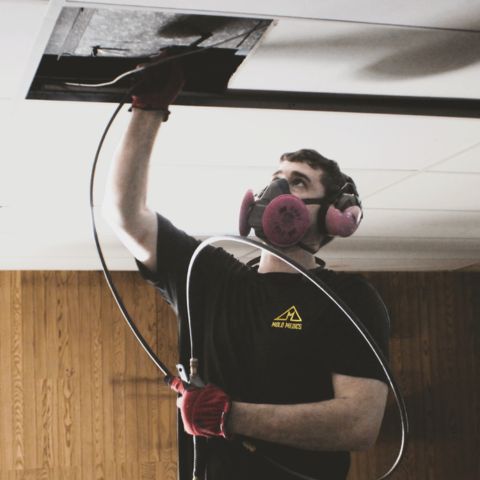 Mold Medics franchise services
