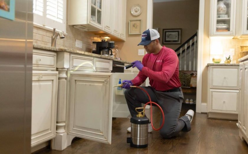 Main Line Brands - Pest Authority