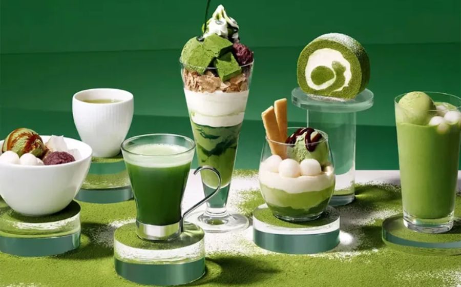 Top Matcha Franchise Opportunities
