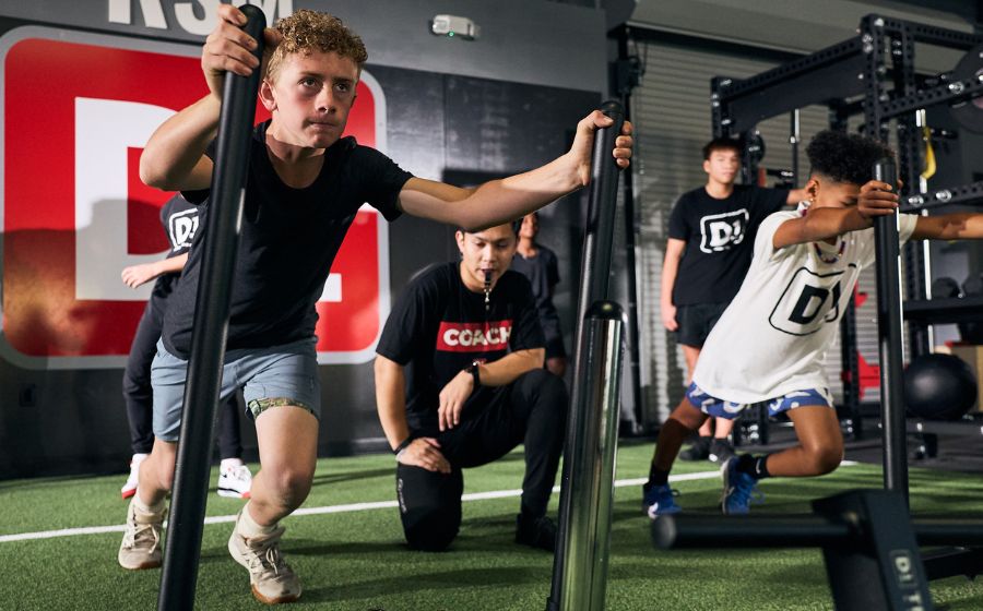 D1 Training franchise FINAL