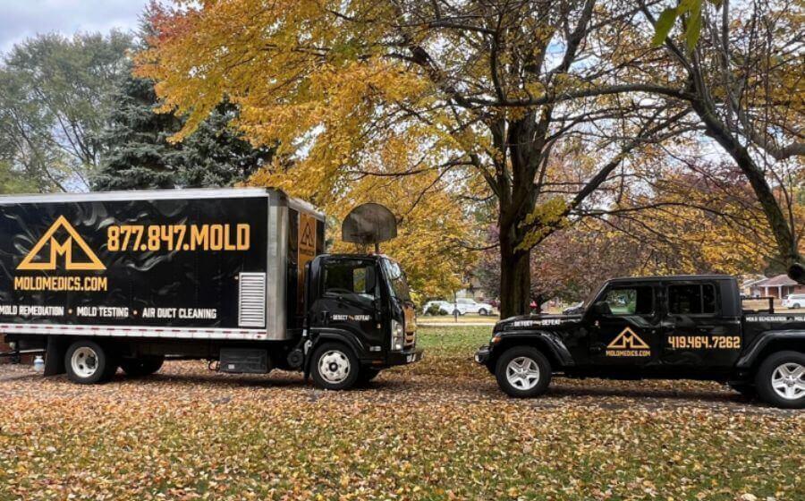 Mold Medics Franchise Meets a Growing Need